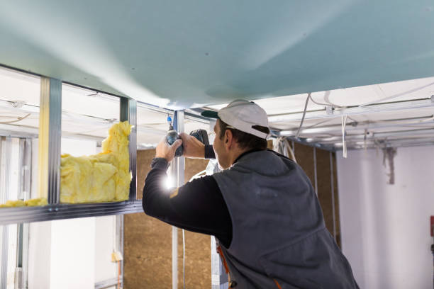 Best Attic Insulation Installation  in Campti, LA