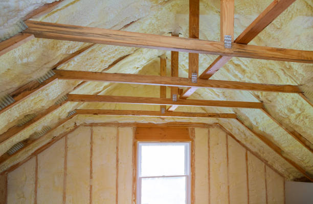 Best Insulation for New Construction  in Campti, LA