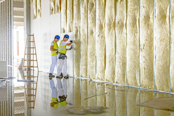 Insulation for Commercial Buildings in Campti, LA